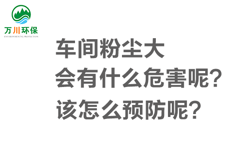 車間粉塵大會(huì)有什么危害呢？該怎么預(yù)防呢？